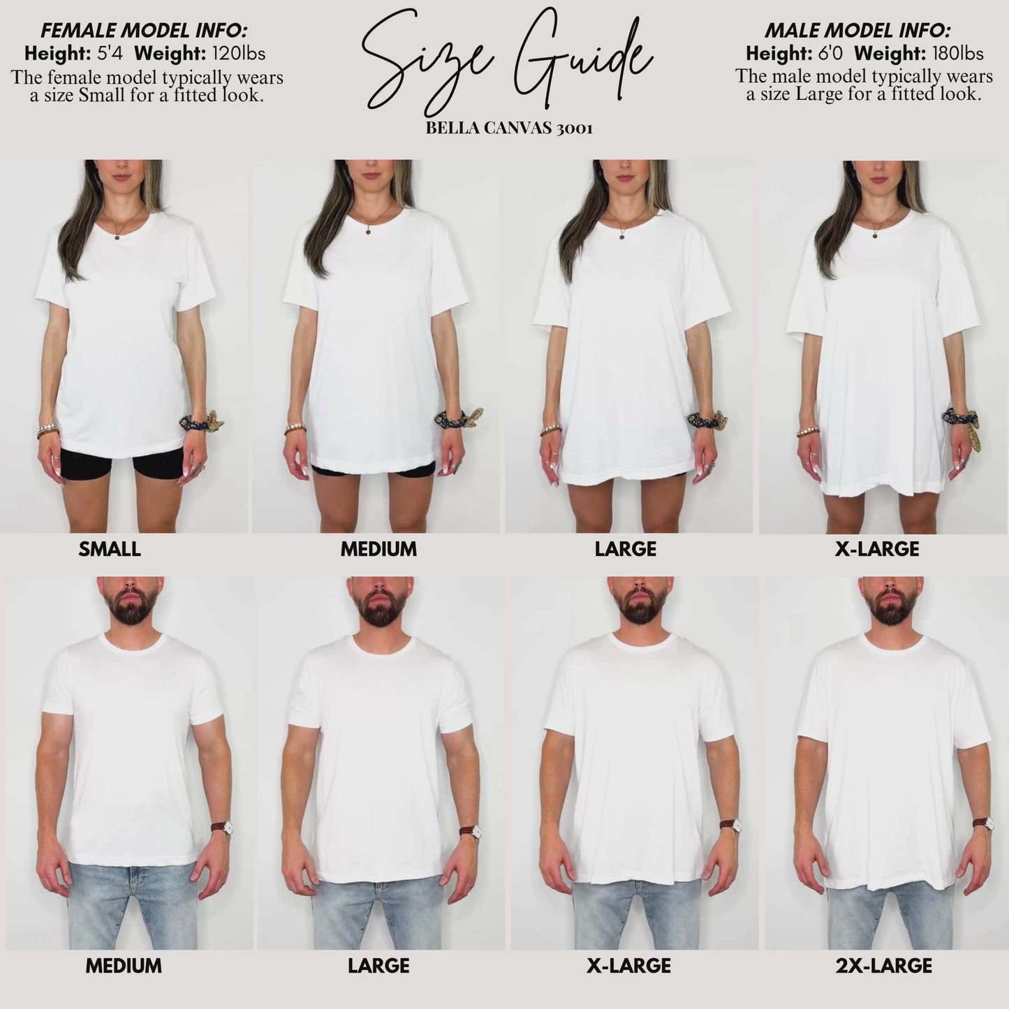 Silly Goose AAC Tee